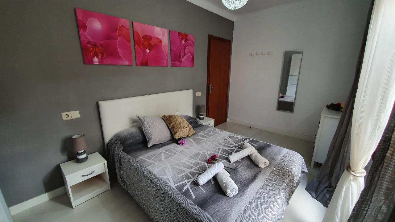 Amapola Mallorca - Villa Alcudia (Mallorca)